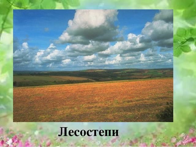 Презентация по окружающему миру