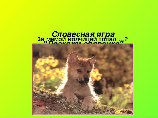 Презентация по окружающему миру