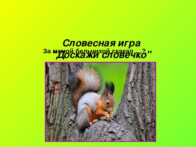 Презентация по окружающему миру