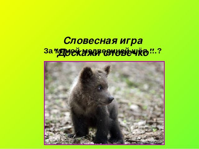 Презентация по окружающему миру