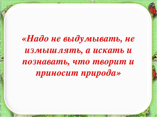 Презентация познавательно – исследовательского проекта "Огород на окне" во второй младшей группе