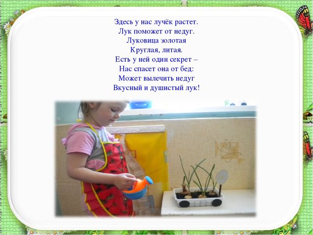 Презентация познавательно – исследовательского проекта "Огород на окне" во второй младшей группе