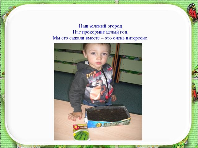 Презентация познавательно – исследовательского проекта "Огород на окне" во второй младшей группе