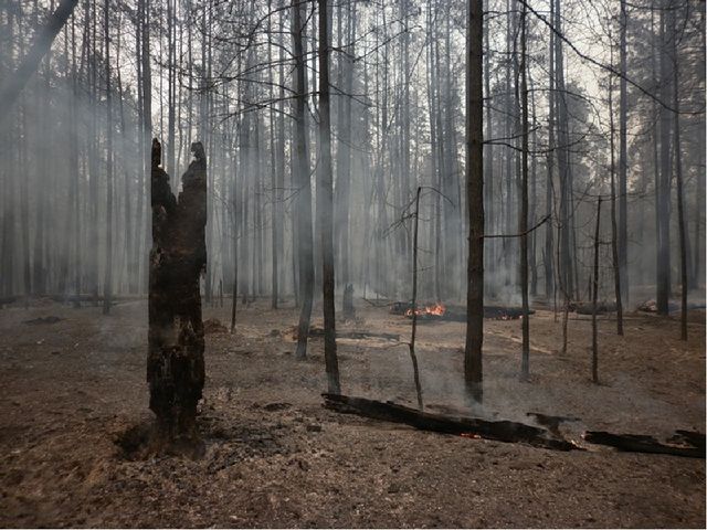 Презентация по экспериментированию с воздухом