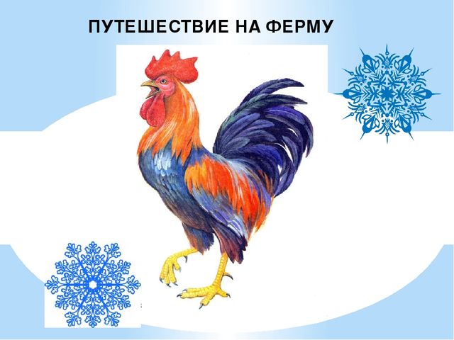 Презентация "Путешествие на ферму"