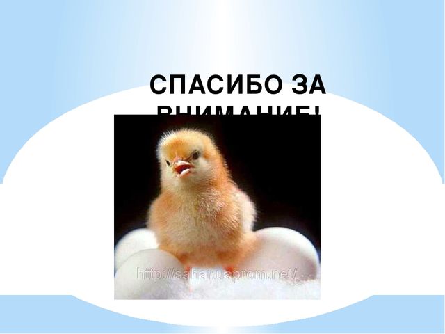 Презентация "Путешествие на ферму"