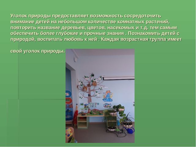 Презентация на тему экология "Восприятия экологической культуры у детей дошкольного возраста"