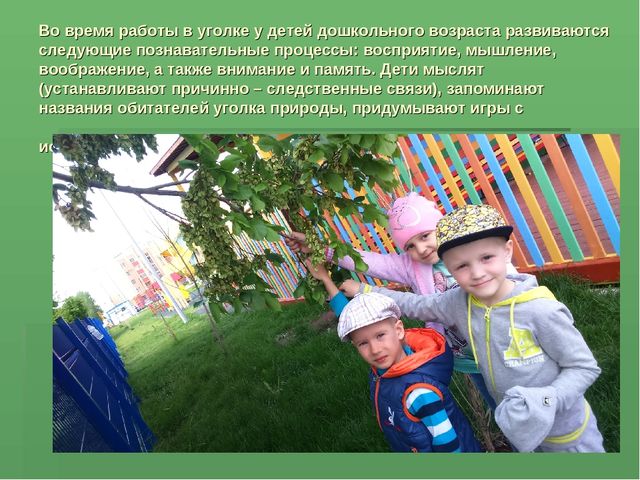 Презентация на тему экология "Восприятия экологической культуры у детей дошкольного возраста"