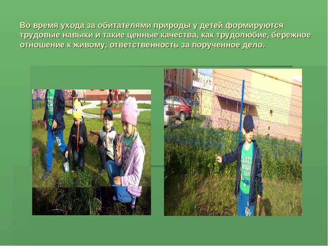 Презентация на тему экология "Восприятия экологической культуры у детей дошкольного возраста"