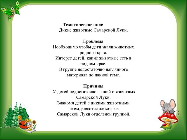 Тематическая неделя дикие животные "Наши лесные друзья"
