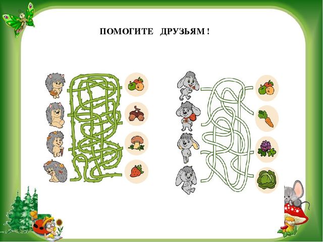 Тематическая неделя дикие животные "Наши лесные друзья"
