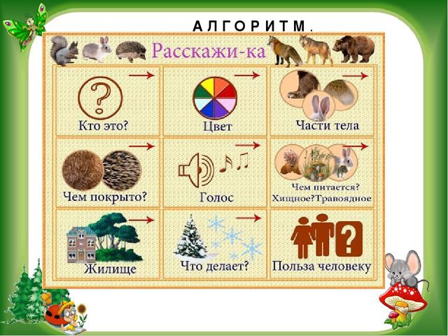 Тематическая неделя дикие животные "Наши лесные друзья"
