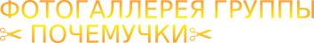 Shape7