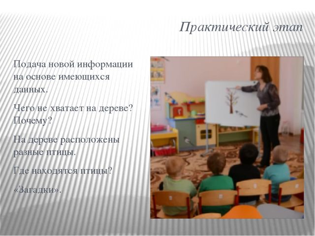 Презентация НОД во второй младшей группе на тему "Зимующие птицы"