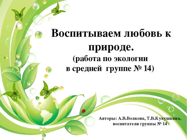 Презентация огород в группе