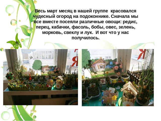 Презентация огород в группе