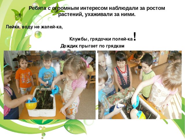 Презентация огород в группе