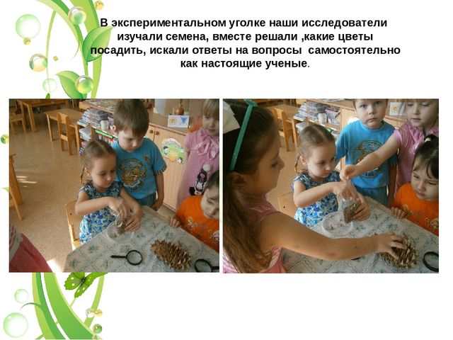 Презентация огород в группе