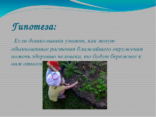 Презентация проекта о лекарственных растениях