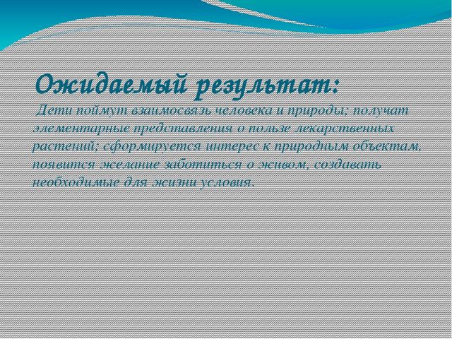 Презентация проекта о лекарственных растениях