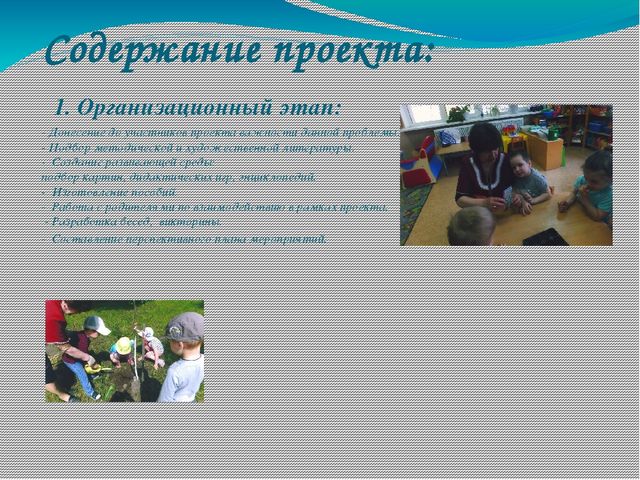 Презентация проекта о лекарственных растениях