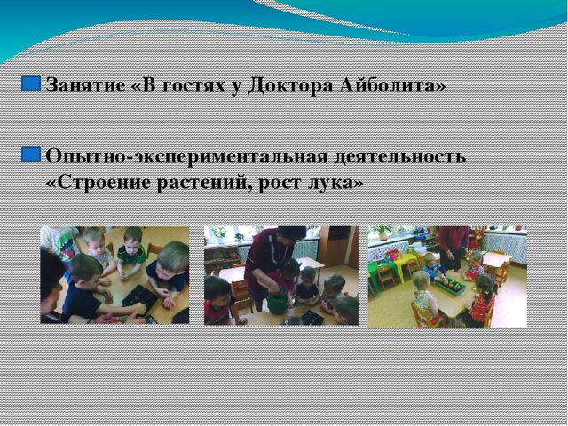 Презентация проекта о лекарственных растениях