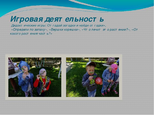 Презентация проекта о лекарственных растениях