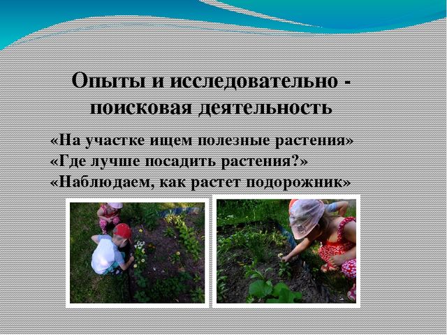 Презентация проекта о лекарственных растениях