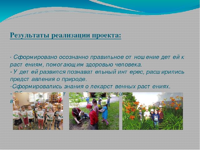 Презентация проекта о лекарственных растениях