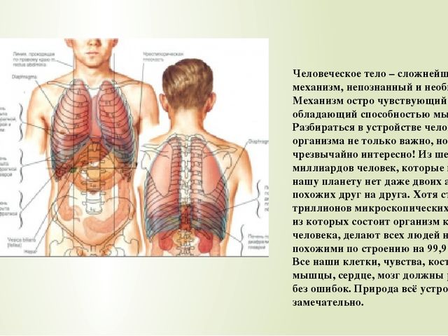 Презентация по ознакомлению с окружающим