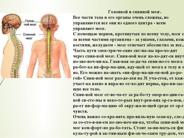 Презентация по ознакомлению с окружающим