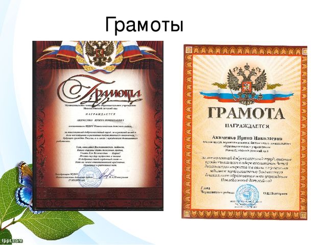 Портфолио воспитателя МБДОУ Новоселовский детский сад Акименко Ирины Николаевны