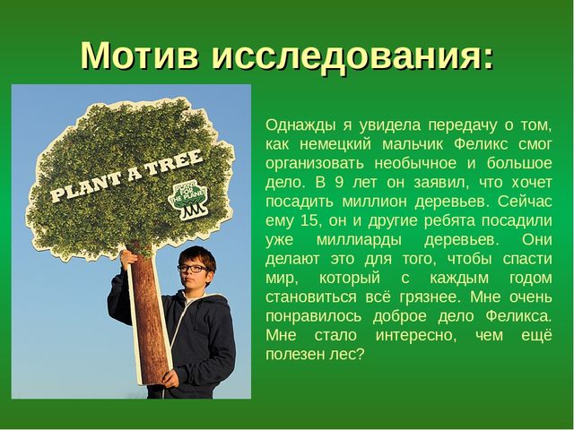 Презентация "Лес - защитник"