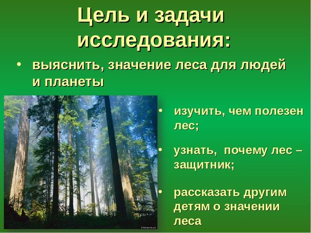 Презентация "Лес - защитник"