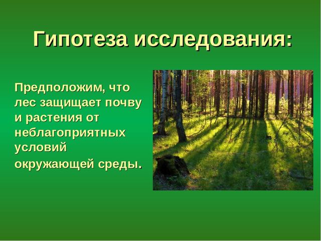 Презентация "Лес - защитник"