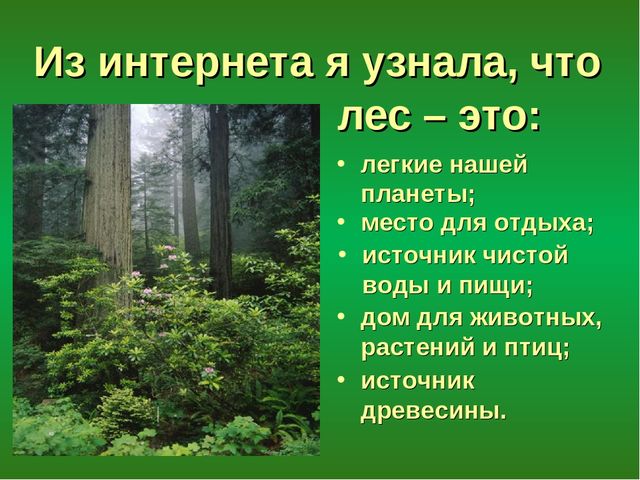 Презентация "Лес - защитник"
