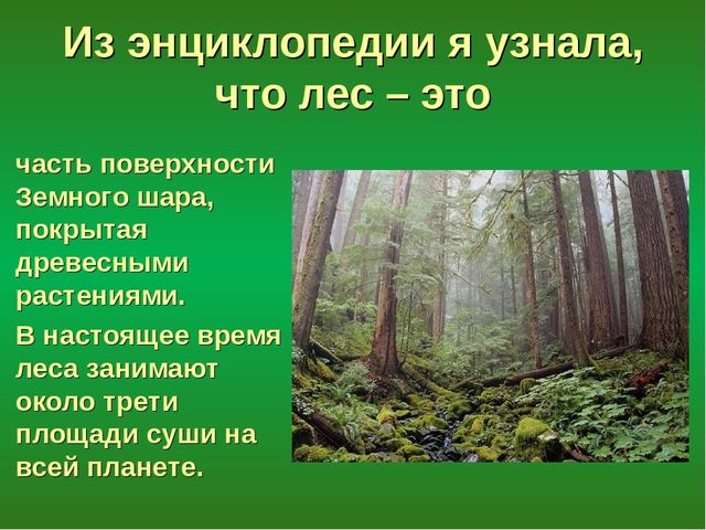 Презентация "Лес - защитник"