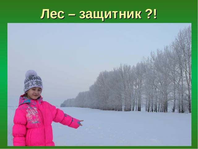 Презентация "Лес - защитник"
