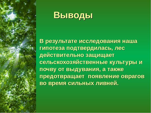 Презентация "Лес - защитник"