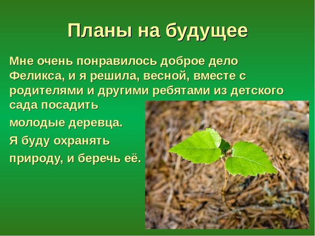 Презентация "Лес - защитник"
