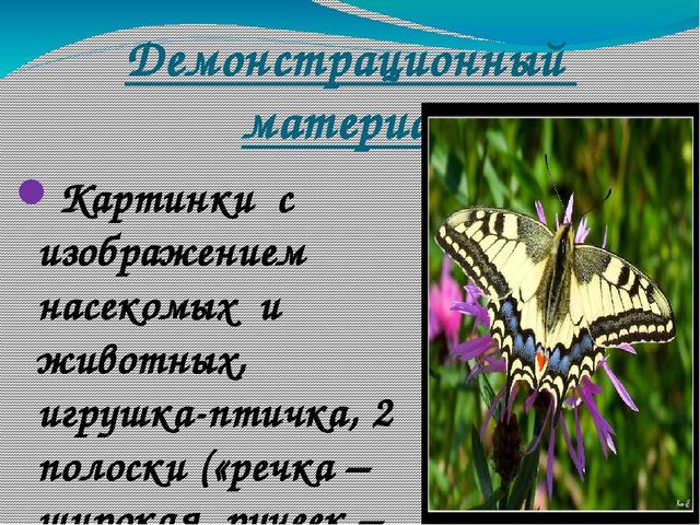 В гости к солнышку