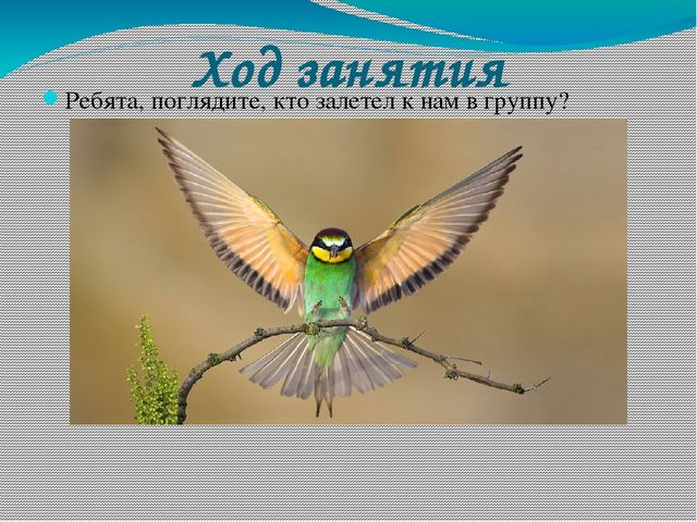 В гости к солнышку