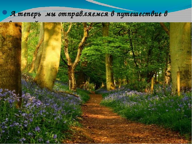 В гости к солнышку