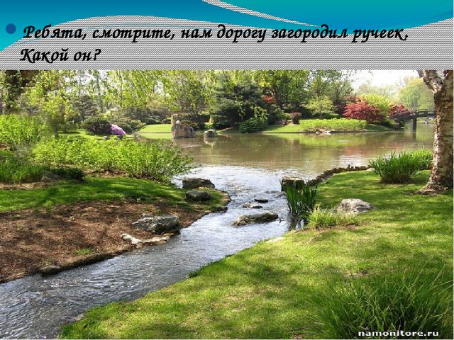 В гости к солнышку