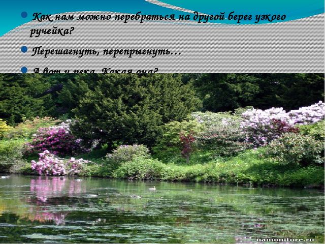 В гости к солнышку
