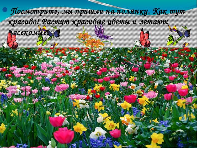 В гости к солнышку