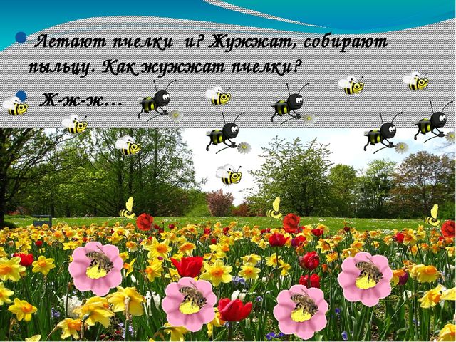 В гости к солнышку