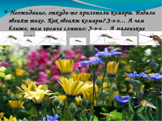 В гости к солнышку