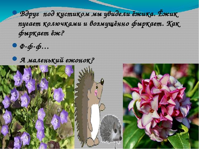 В гости к солнышку