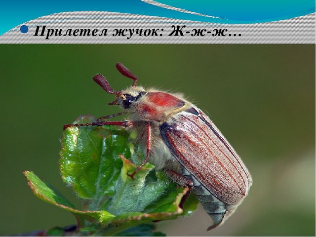 В гости к солнышку